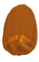 Terre de Sienne naturelle - PBr7