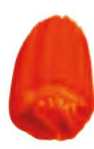 Orange transparent perm. - PO71