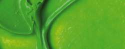 Vert fluo
