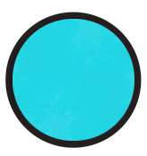 BG0.2 perruche bleue