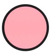 R1.1 rose thé