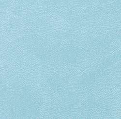Bleu pâle