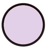 V2.1 lilas