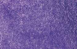 Pourpre clair irisé