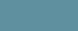 Gris bleuâtre clair
