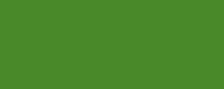 Vert olive clair