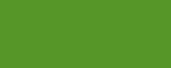 Vert olive foncé