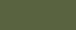 Vert olive foncé