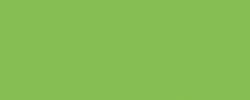 Papier de couleur Folia, A4 - 21 x 29,7 cm, Vert clair
