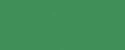 Papier de couleur Folia, A4 - 21 x 29,7 cm, Vert mousse