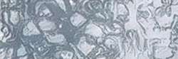 Gris froid 5