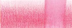 Rose vif