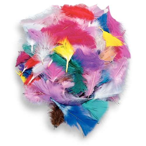 Mélange de plumes décoratives 