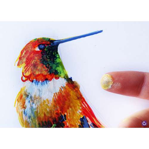 Apprendre à dessiner un oiseau coloré en technique mixte par Cynthia Dormeyer
