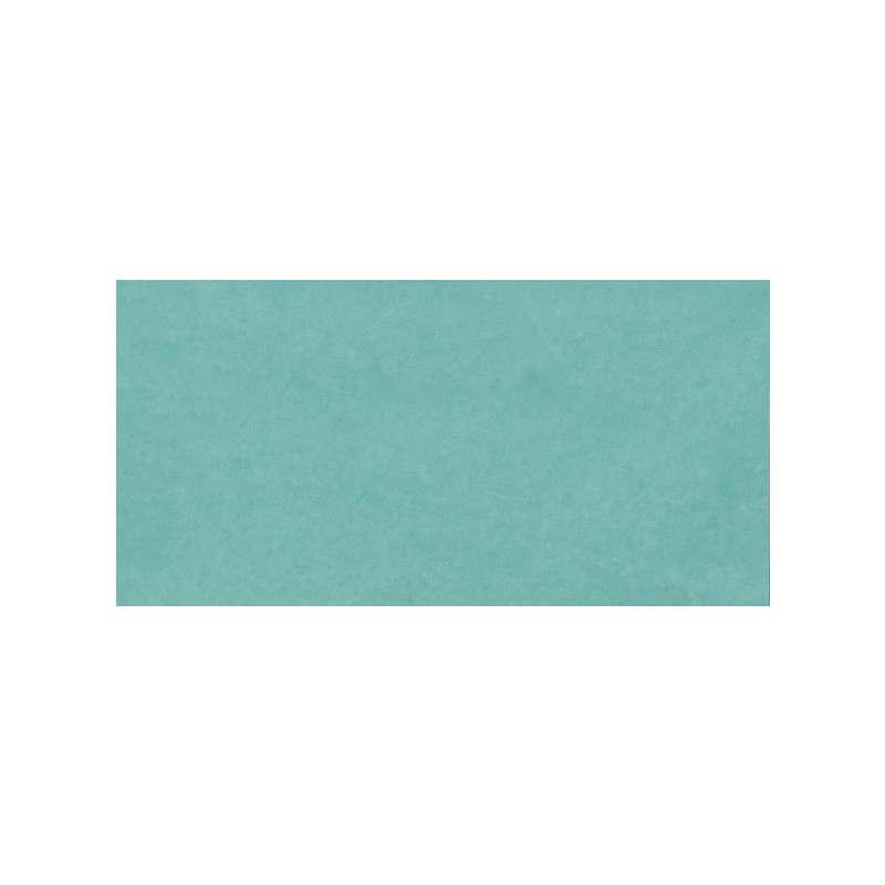 Papier de soie Staufen ®, 50 x 70 cm - Paquet de 26 feuilles, Menthe aquatique