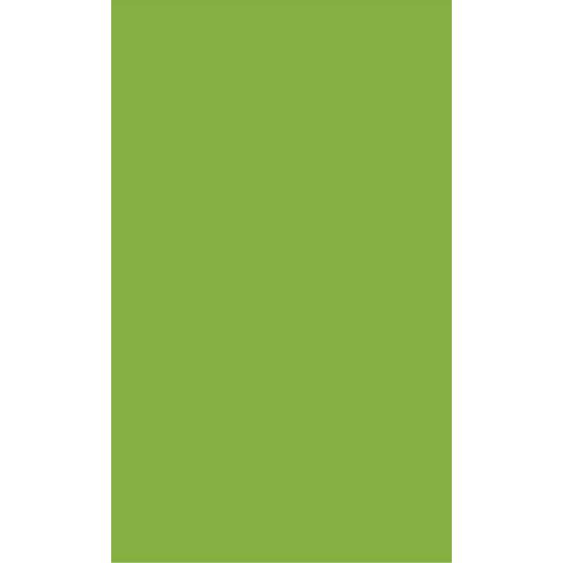 Papier de couleur, 50 x 70 cm - 130 g/m² - Paquet de 10 feuilles, Vert tropical