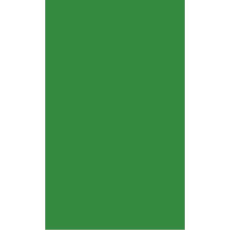 Papier de couleur Ursus , 100 feuilles, Vert tilleul