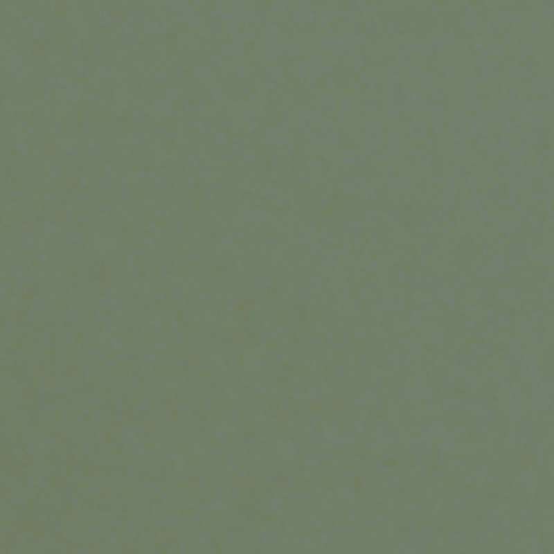 Papier couleur Lana Colours 1, 21 x 29,7 cm (A4) - 50 feuilles - 160 g/m², Sauge