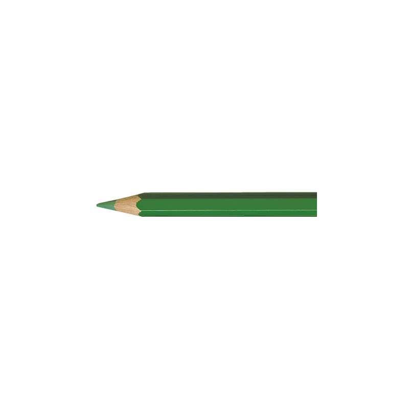 Crayons de couleurs aquarellables Supracolor de Caran d'Ache, vert herbe