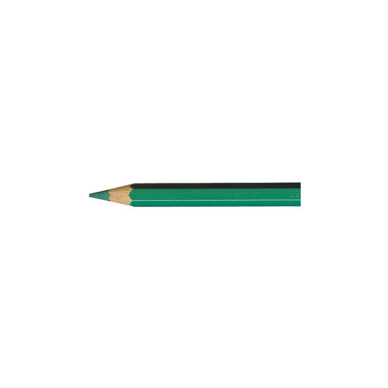 Crayons de couleurs aquarellables Supracolor de Caran d'Ache, vert impérial