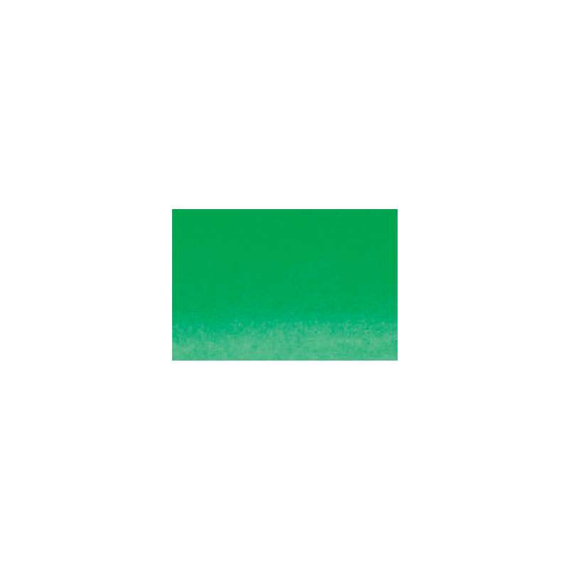 Encre couleur Sennelier, 30 ml, vert Printemps