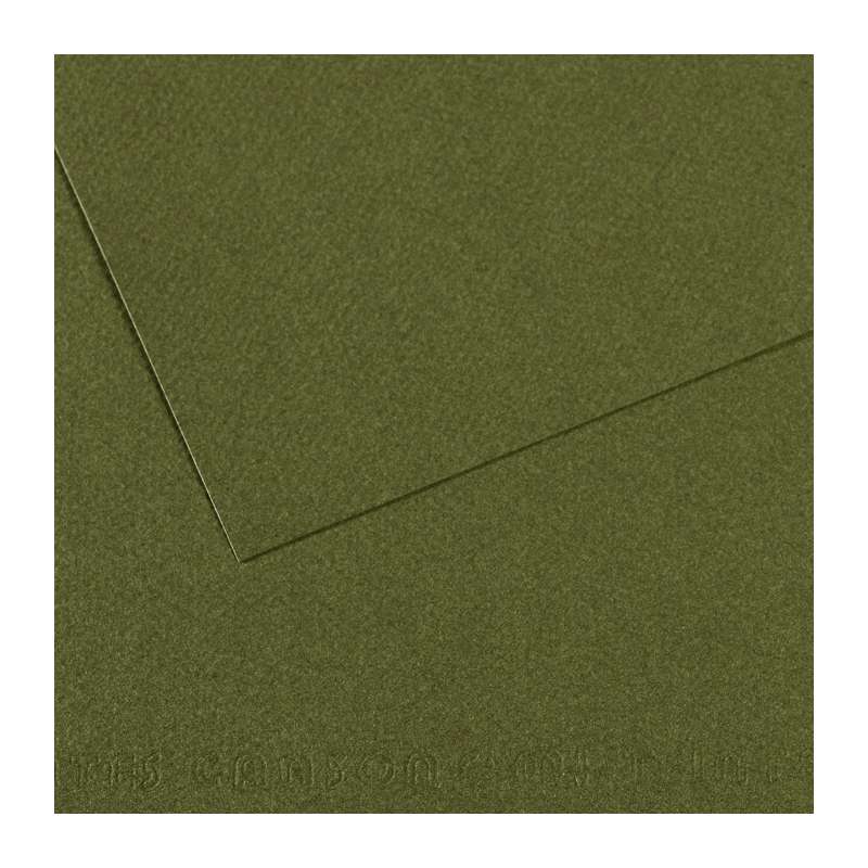 Papier mi-teintes Canson, 75 x 110 cm (Grand aigle) - 160 g/m², Vert foncé
