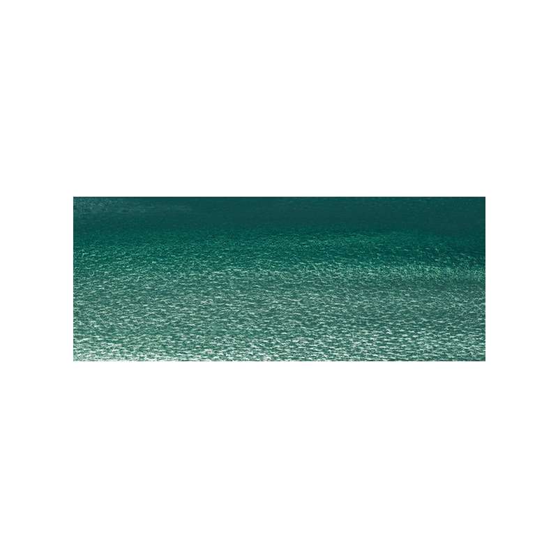 Aquarelle Professionnal Water Colour (anciennement Artist Water Colour ) de Winsor & Newton, 1/2 godet, Vert de cobalt foncé