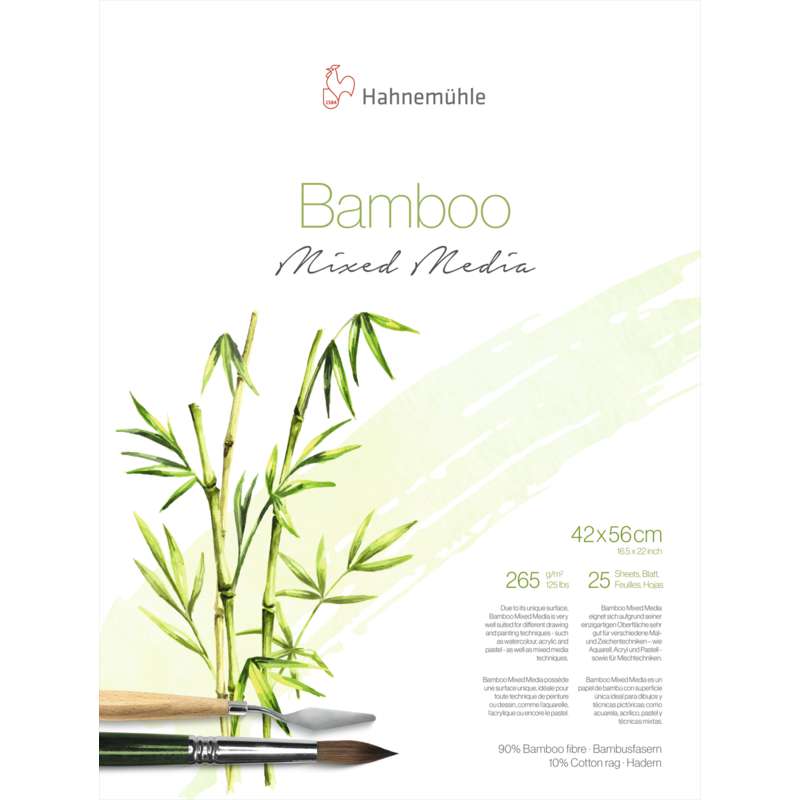 Papier Multi-Techniques Bamboo Hahnemühle, 42 cm x 56 cm, Bloc de 25 feuilles, 265 g/m², Bloc collé 2 côtés